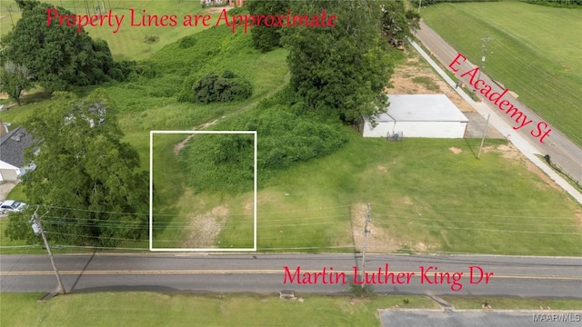 0 Martin Luther King Dr, Troy, AL 36081 - photo 3