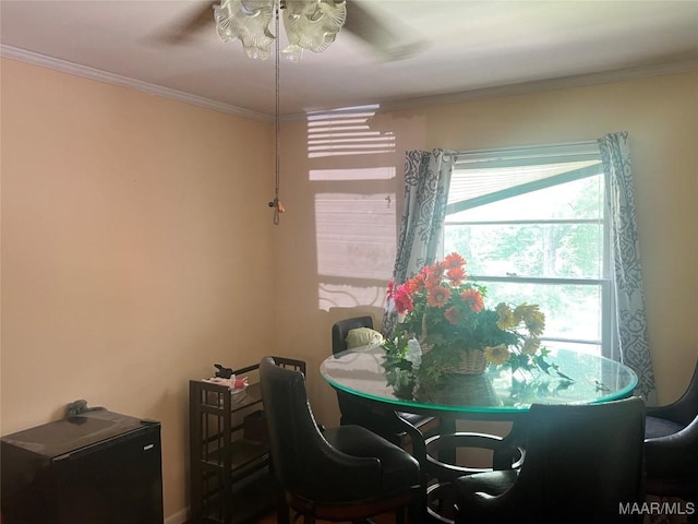 dining room with ceiling fan and crown molding