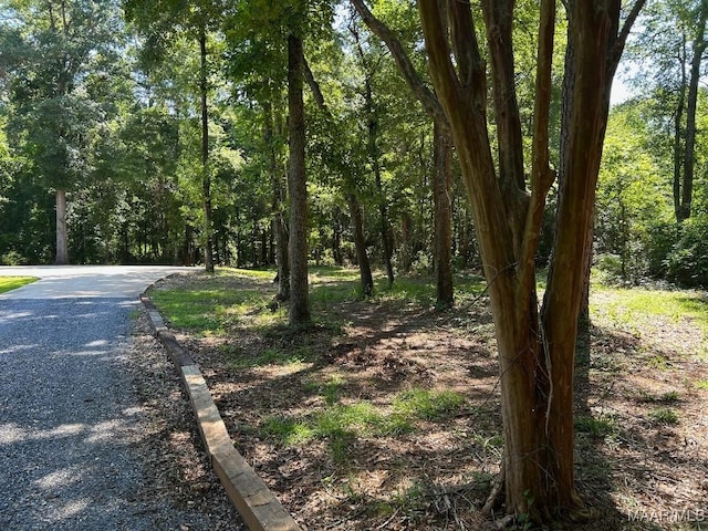 134 Laurelwood Dr, Pike Road, AL 36064 - photo 44