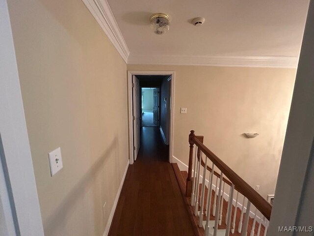 134 Laurelwood Dr, Pike Road, AL 36064 - photo 21