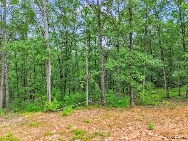 2920 Trotters Trl, Wetumpka, AL 36093 - photo 9