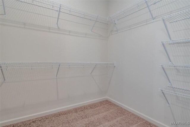 205 Lismore Pl, Montgomery, AL 36117 - photo 23