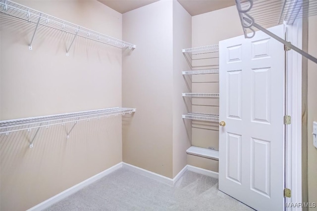 8330 Chadburn Way, Montgomery, AL 36116 - walk in closet featuring carpet flooring
