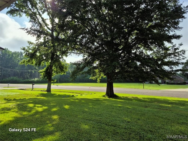 186 Atkin Hill Rd, Wetumpka, AL 36092 - photo 26