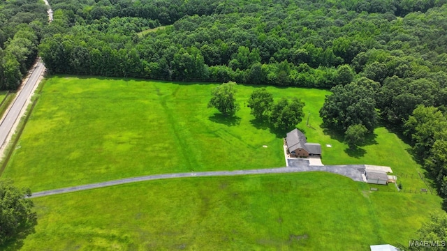 4015 Snowdoun Chambers Rd, Montgomery, AL 36116 - overview of rural landscape with a forest