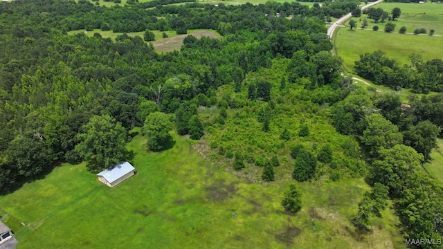 4015 Snowdoun Chambers Rd, Montgomery, AL 36116 - drone / aerial view of a forest