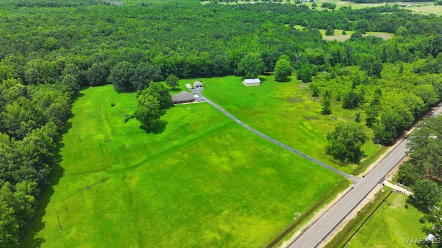 4015 Snowdoun Chambers Rd, Montgomery, AL 36116 - bird's eye view of a forest