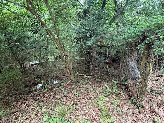 235 Wild Plum Trl, Wetumpka, AL 36093 - view of tree filled area