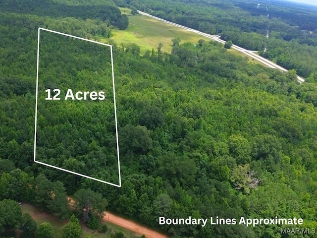 0 County Road 81, Tuskegee, AL 36083