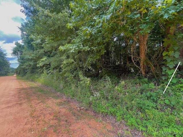 0 County Road 81, Tuskegee, AL 36083