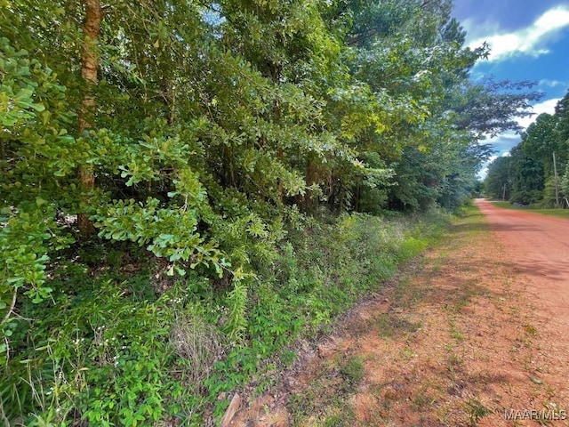 0 County Road 81, Tuskegee, AL 36083