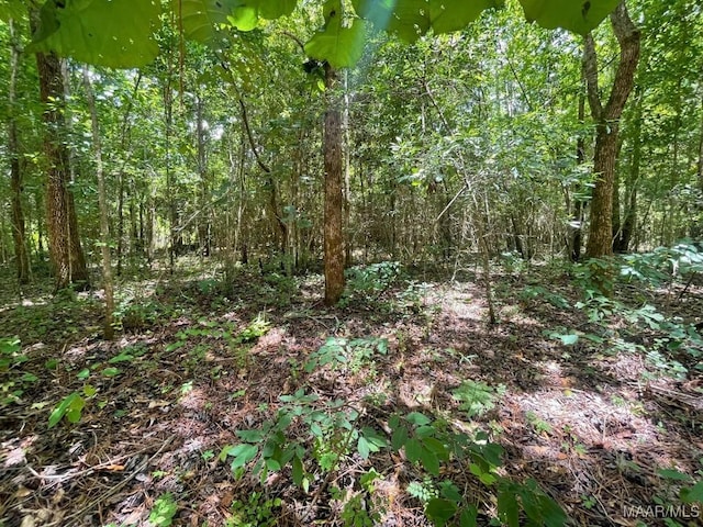 0 County Road 81, Tuskegee, AL 36083