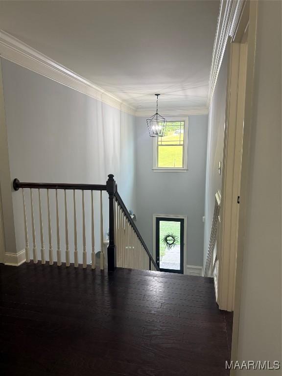 312 Sherwood Trl, Wetumpka, AL 36093 - foyer entrance featuring ornamental molding and a chandelier