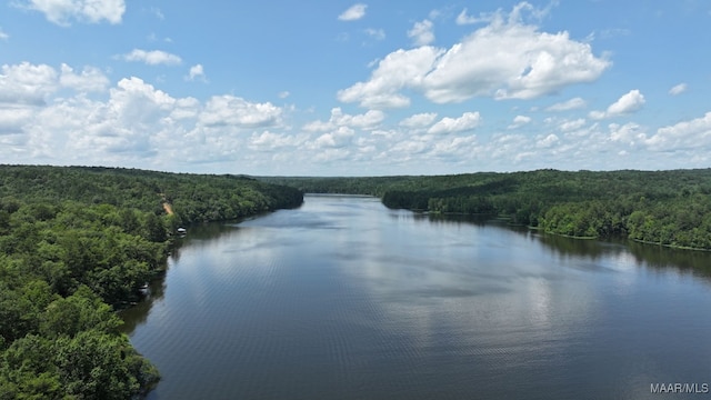1415 Gold Mine Branch Rd, Marbury, AL 36051 - water view featuring a heavily wooded area