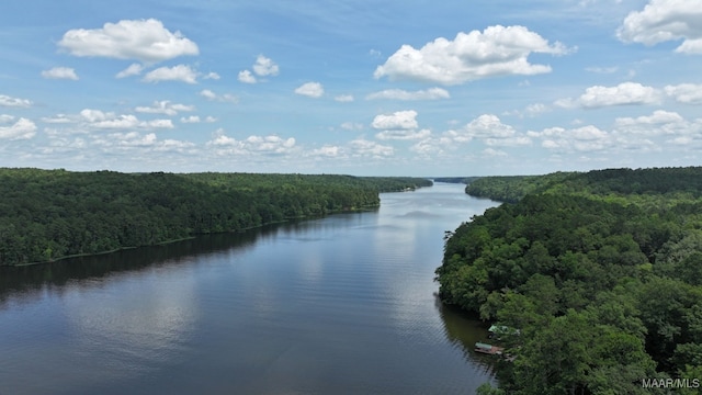 1415 Gold Mine Branch Rd, Marbury, AL 36051 - water view with a heavily wooded area
