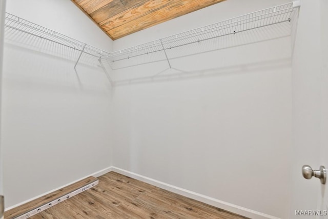 1415 Gold Mine Branch Rd, Marbury, AL 36051 - spacious closet featuring light wood-style floors