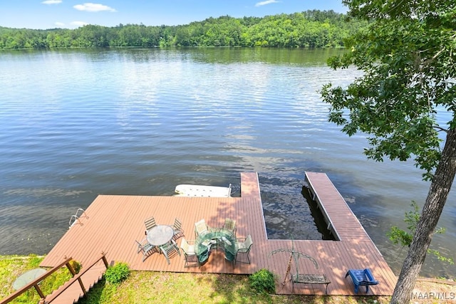 1415 Gold Mine Branch Rd, Marbury, AL 36051 - dock with a water view and a wooded view