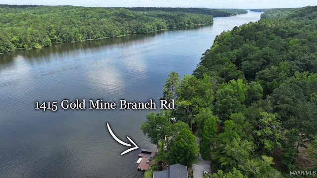 1415 Gold Mine Branch Rd, Marbury, AL 36051 - water view with a heavily wooded area