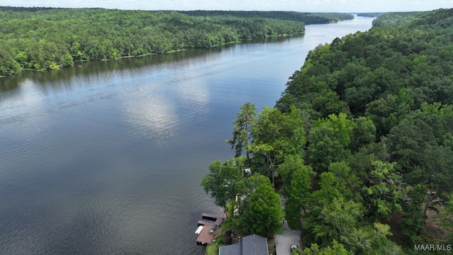 1415 Gold Mine Branch Rd, Marbury, AL 36051 - water view featuring a forest