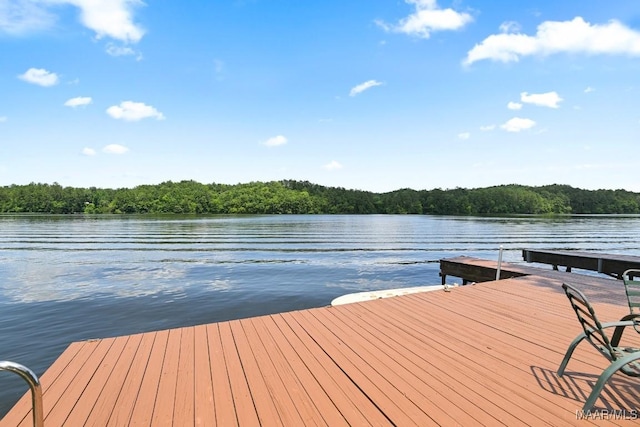 1415 Gold Mine Branch Rd, Marbury, AL 36051 - dock area with a water view and a forest view