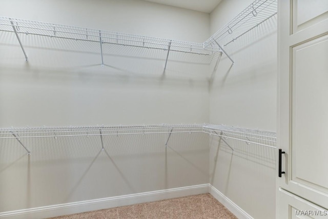 79 Birchwood Ln, Wetumpka, AL 36093 - walk in closet with light carpet