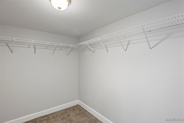 1310 Woodward Ave, Montgomery, AL 36106 - walk in closet with carpet flooring