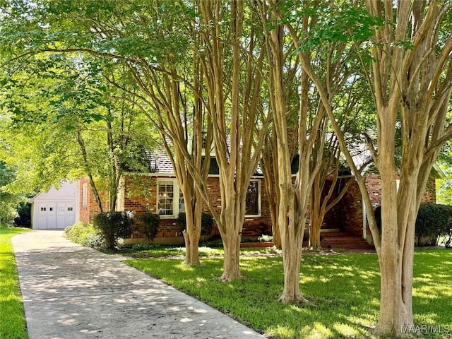 3319 Lexington Rd, Montgomery, AL 36106 - view of property hidden behind natural elements featuring brick siding, driveway, and a front yard