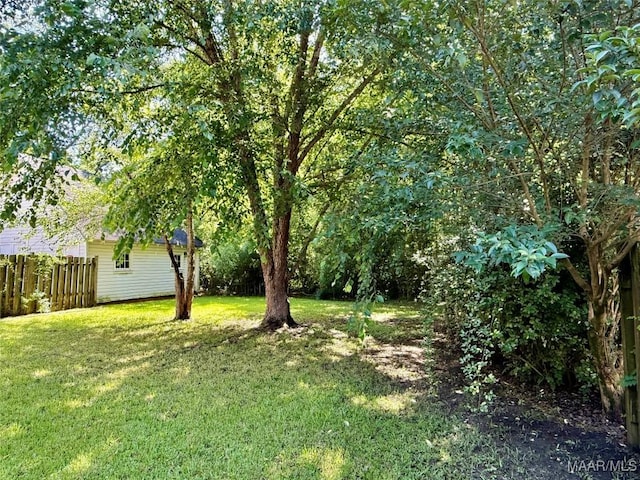 3319 Lexington Rd, Montgomery, AL 36106 - view of yard