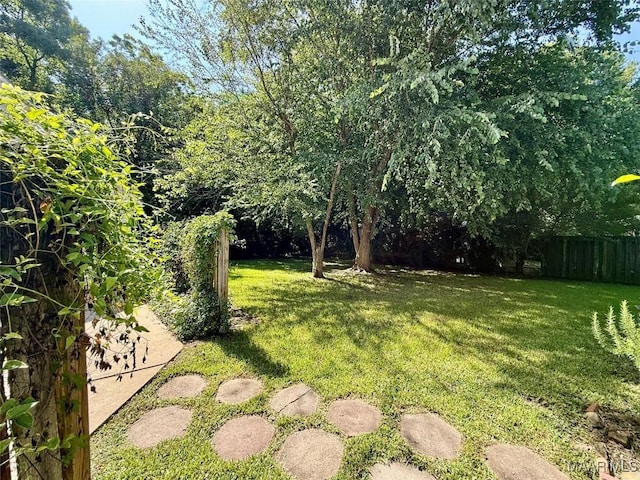 3319 Lexington Rd, Montgomery, AL 36106 - view of yard