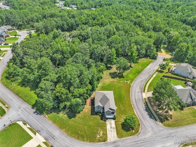 18 Abercorn Dr, Deatsville, AL 36022 - photo 59