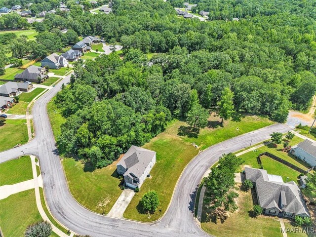 18 Abercorn Dr, Deatsville, AL 36022 - photo 60
