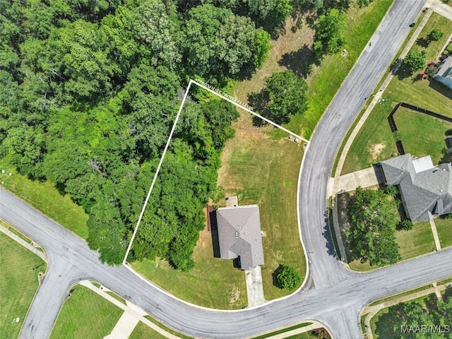 18 Abercorn Dr, Deatsville, AL 36022 - photo 66