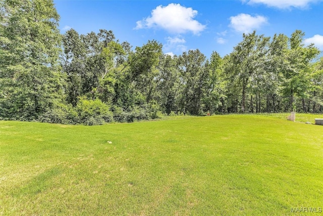 18 Abercorn Dr, Deatsville, AL 36022 - photo 52