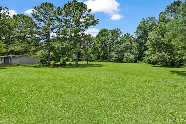 165 Ten Cedars Dr, Titus, AL 36080 - view of grassy yard