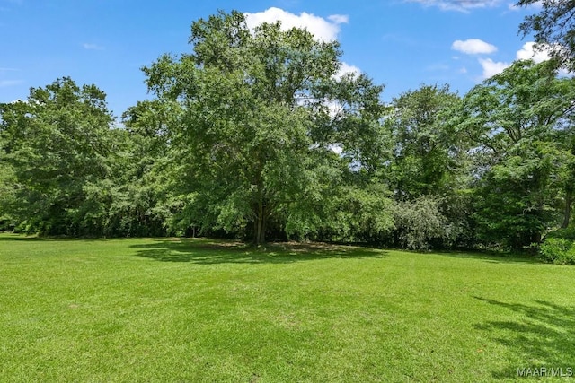 165 Ten Cedars Dr, Titus, AL 36080 - view of grassy yard