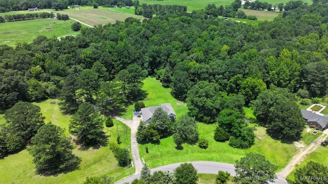 165 Ten Cedars Dr, Titus, AL 36080 - bird's eye view