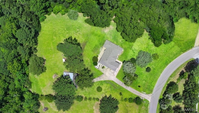 165 Ten Cedars Dr, Titus, AL 36080 - bird's eye view