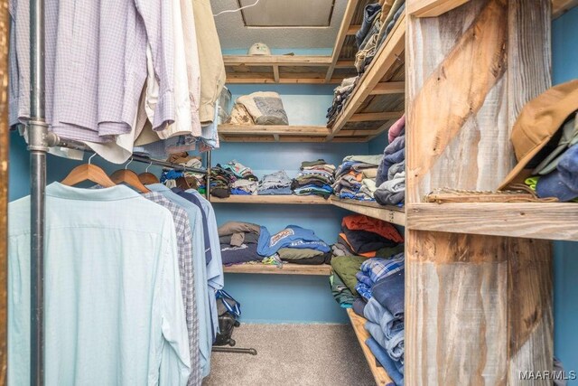 1352 Gibson Rd, Greenville, AL 36037 - walk in closet featuring carpet