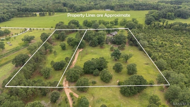 1352 Gibson Rd, Greenville, AL 36037 - overview of rural landscape with property parcel outlined