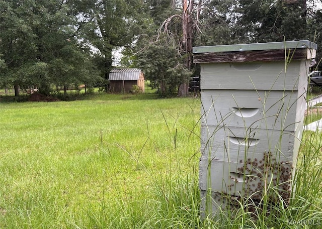 1352 Gibson Rd, Greenville, AL 36037 - view of yard with a storage shed