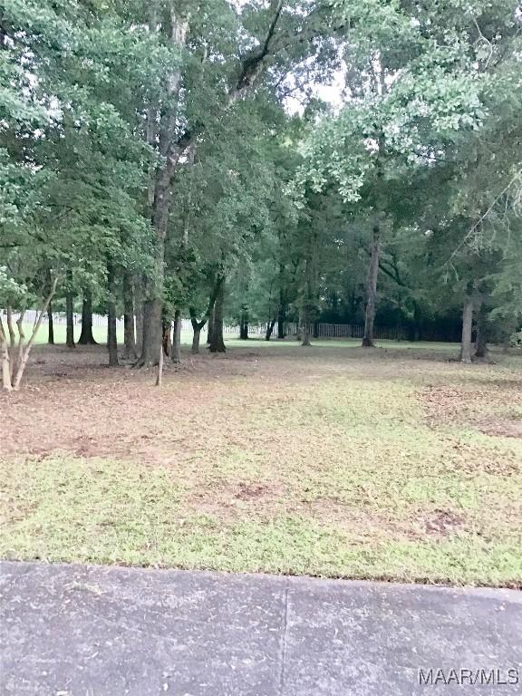 3117 Erinwood Dr, Montgomery, AL 36110 - photo 1