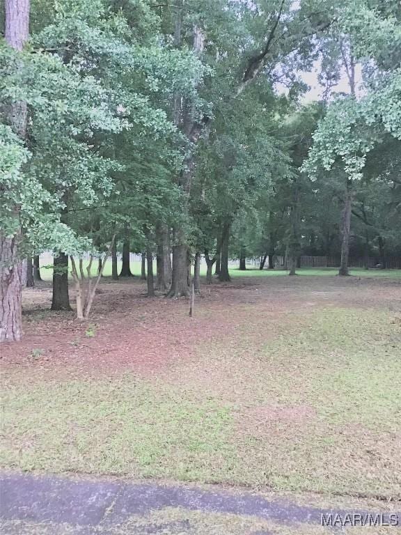 3117 Erinwood Dr, Montgomery, AL 36110 - photo 3