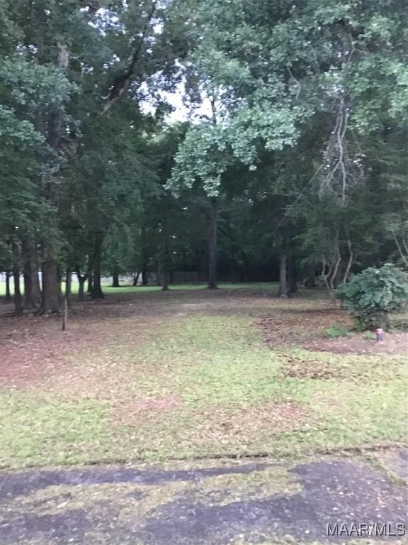3117 Erinwood Dr, Montgomery, AL 36110 - photo 4