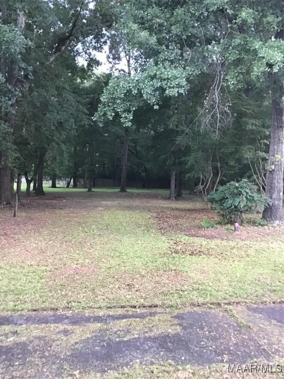 3117 Erinwood Dr, Montgomery, AL 36110 - photo 6