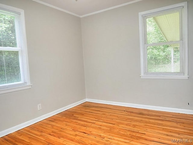 3609 Loxley Ln, Montgomery, AL 36109 - empty room featuring ornamental molding, light wood finished floors, and plenty of natural light