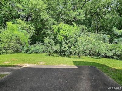 1219 First Ave, Tuskegee, AL 36088 - view of green lawn featuring a wooded view