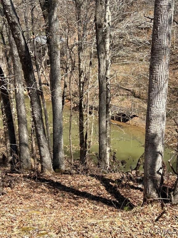 27 Trails End Ln, Alexander City, AL 35010