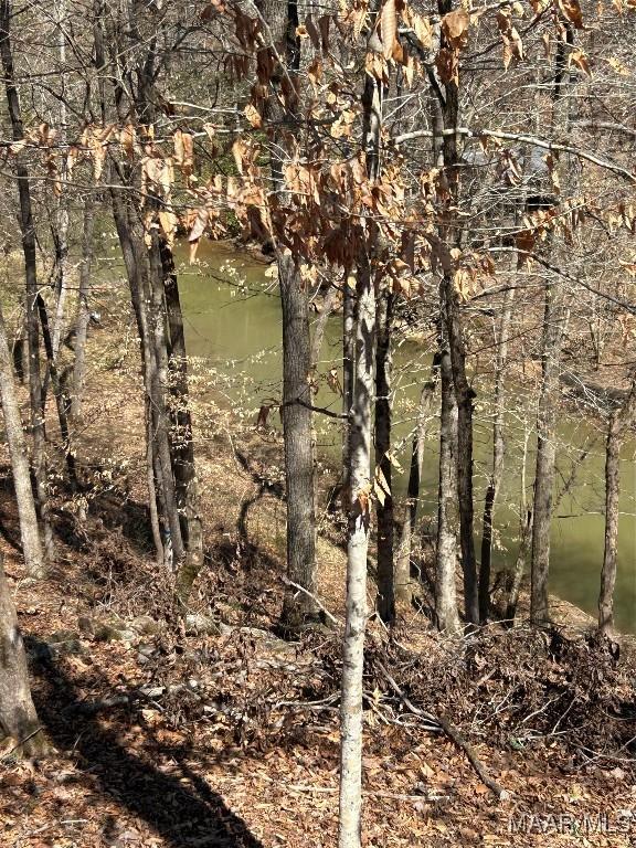 27 Trails End Ln, Alexander City, AL 35010
