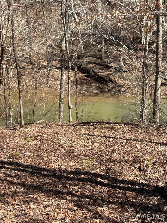27 Trails End Ln, Alexander City, AL 35010