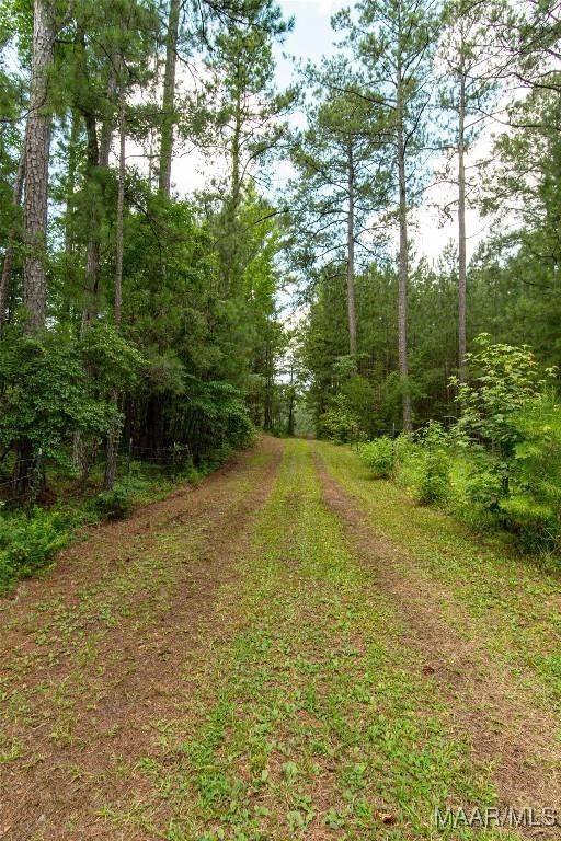 1245 Providence Rd, Titus, AL 36080 - view of road featuring a wooded view